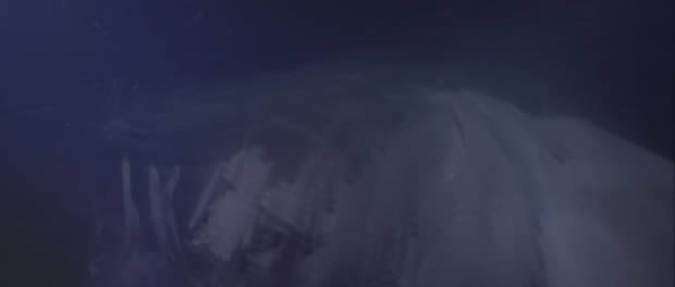 Deep Rising