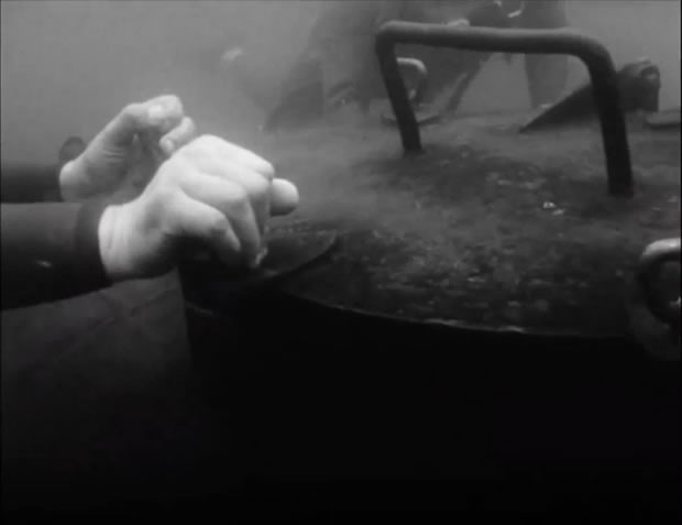 Die Tintenfische
