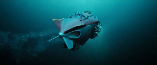 Ocean rescue