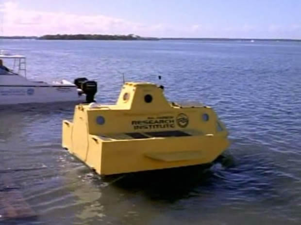 Flipper - The new adventures