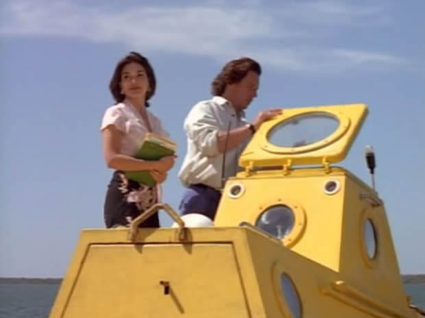 Flipper - The new adventures