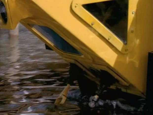 Flipper - The new adventures