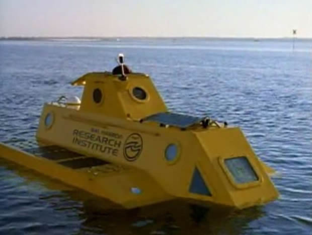 Flipper - The new adventures