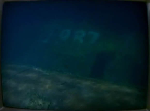 Flipper - The new adventures
