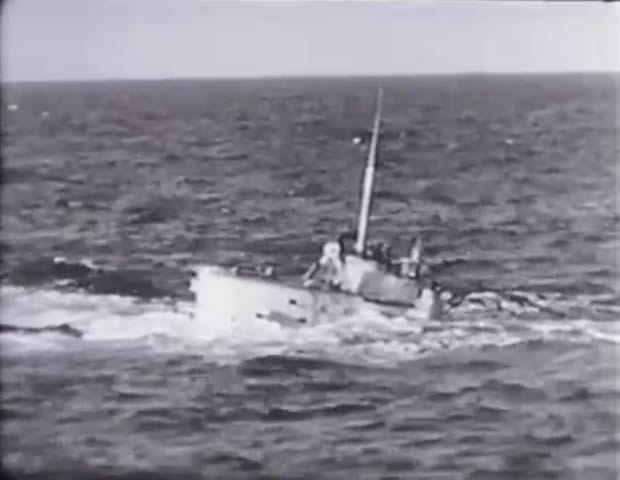 Mystery sea raider