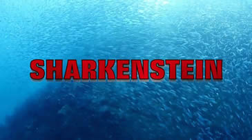 Sharkenstein
