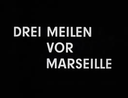 Die Tintenfische