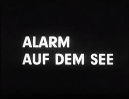 Die Tintenfische