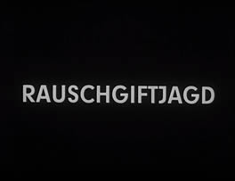 Die Tintenfische