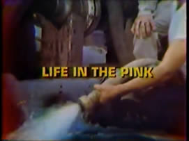 Life in the Pink