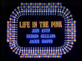 Life in the Pink