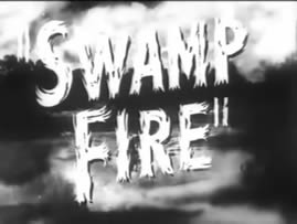 Swamp Fire