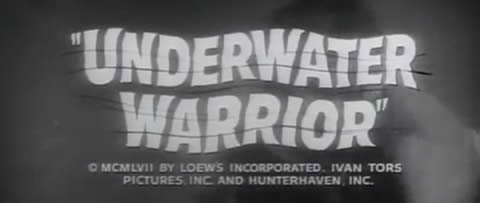 Underwater warrior