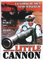 Little cannon