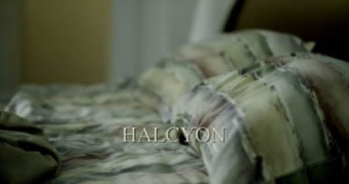 Halcyon