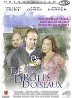De dr&ocirc;les d'oiseaux