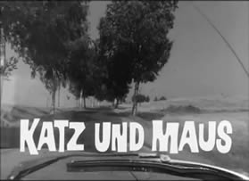 Katz und Maus